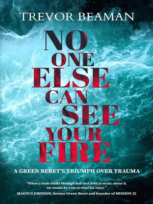 cover image of NO ONE ELSE CAN SEE YOUR FIRE